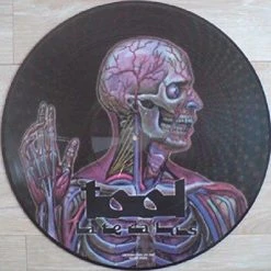 Remise 👏 Lateralus - Picture Disc (2 LPs) Von Tool 😉
