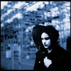 Promo 🛒 Jack White (White Stripes/Dead Weather/Raconteurs) Blunderbuss (LP + Digital Copy) Von Jack White (White Stripes/Dead Weather/Raconteurs) 🎁