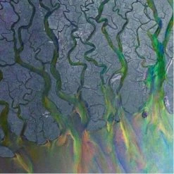 Meilleure affaire 🎁 An Awesome Wave (LP + Digital Copy) Von Alt-J 👏