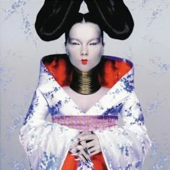 Sortie ⌛ Björk Homogenic (LP) Von Bj&ouml;rk 💯