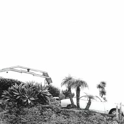 Vente flash 🌟 Hot Dreams - Limited Edition Foil Sleeve (LP + Digital Copy) Von Timber Timbre 🥰