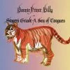 Les meilleures critiques de 🛒 Singer's Grave A Sea Of Tongues (LP) Von Bonnie Prince Billy 👍