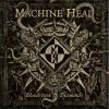 Budget 🔥 Bloodstone & Diamonds - Picture Disc (2 LPs) Von Machine Head 🌟
