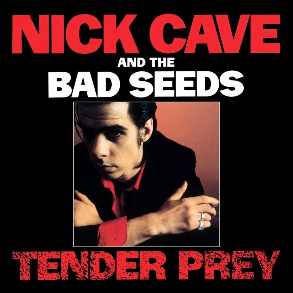 Meilleure affaire 🤩 Nick Cave & The Bad Seeds Tender Prey - 2014 Reissue (LP) Von Nick Cave & The Bad Seeds 👍 1 Meilleure affaire 🤩 Nick Cave & The Bad Seeds Tender Prey - 2014 Reissue (LP) Von Nick Cave & The Bad Seeds 👍