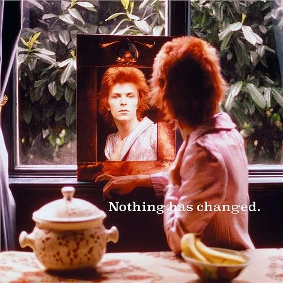 Meilleur prix 😉 Nothing Has Changed (Best Of) (2 LPs) Von David Bowie 🧨 1 Meilleur prix 😉 Nothing Has Changed (Best Of) (2 LPs) Von David Bowie 🧨