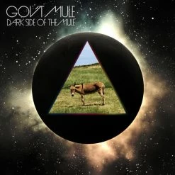 Meilleure vente 🤩 Gov't Mule Dark Side Of The Mule (2 LPs + Digital Copy) Von Gov't Mule 🎉