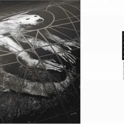 Budget ✔️ Doolittle 25 (2 LPs) Von The Pixies 😉